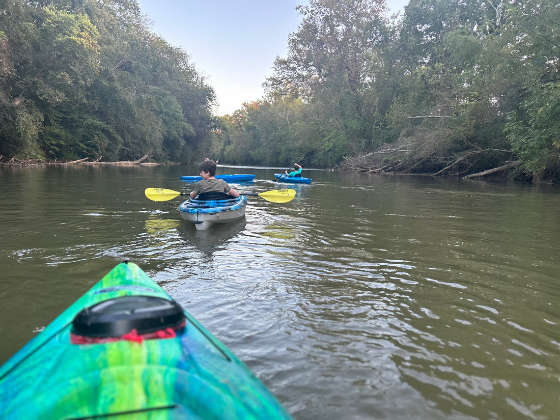 Kayak Incident