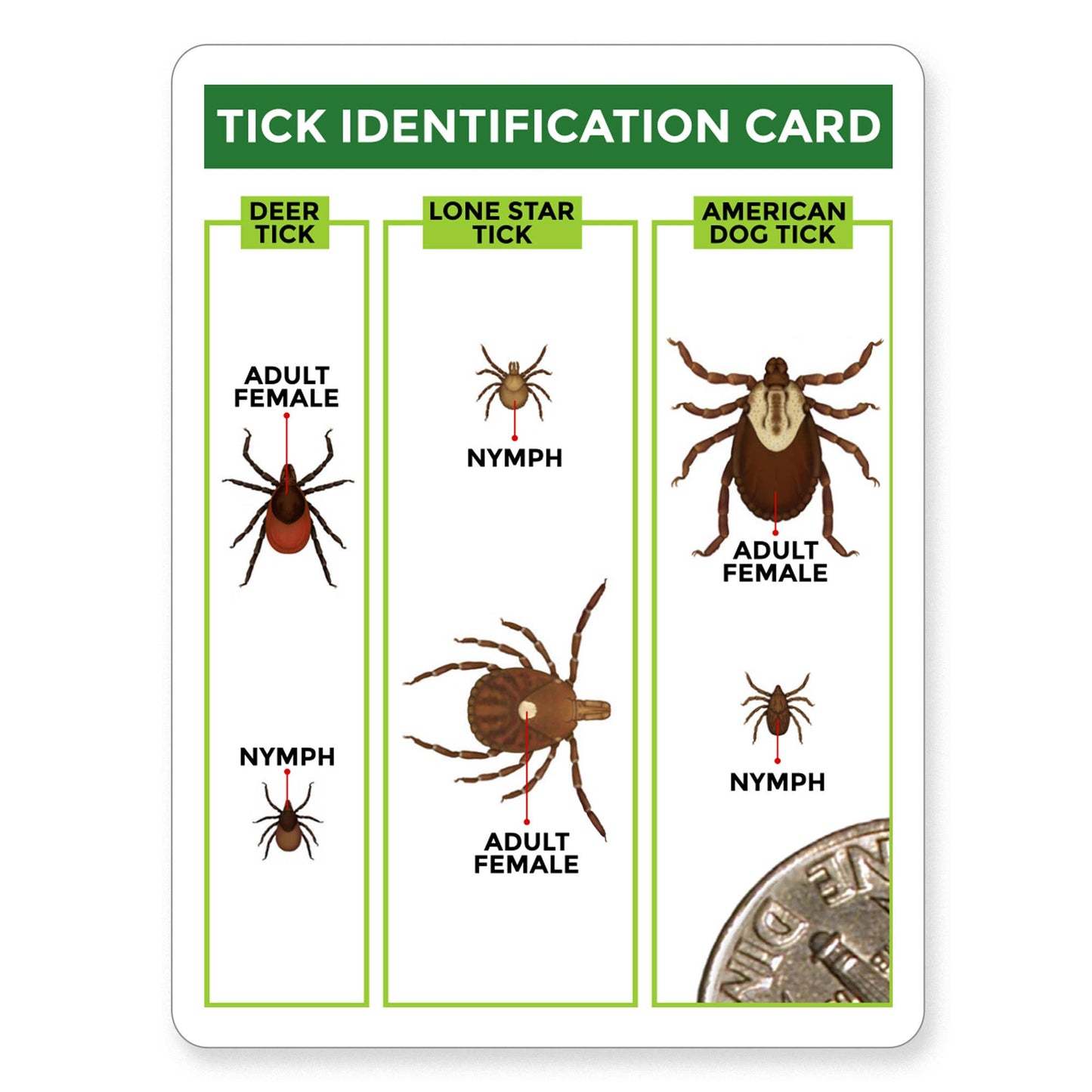 TickCheck Tick Remover