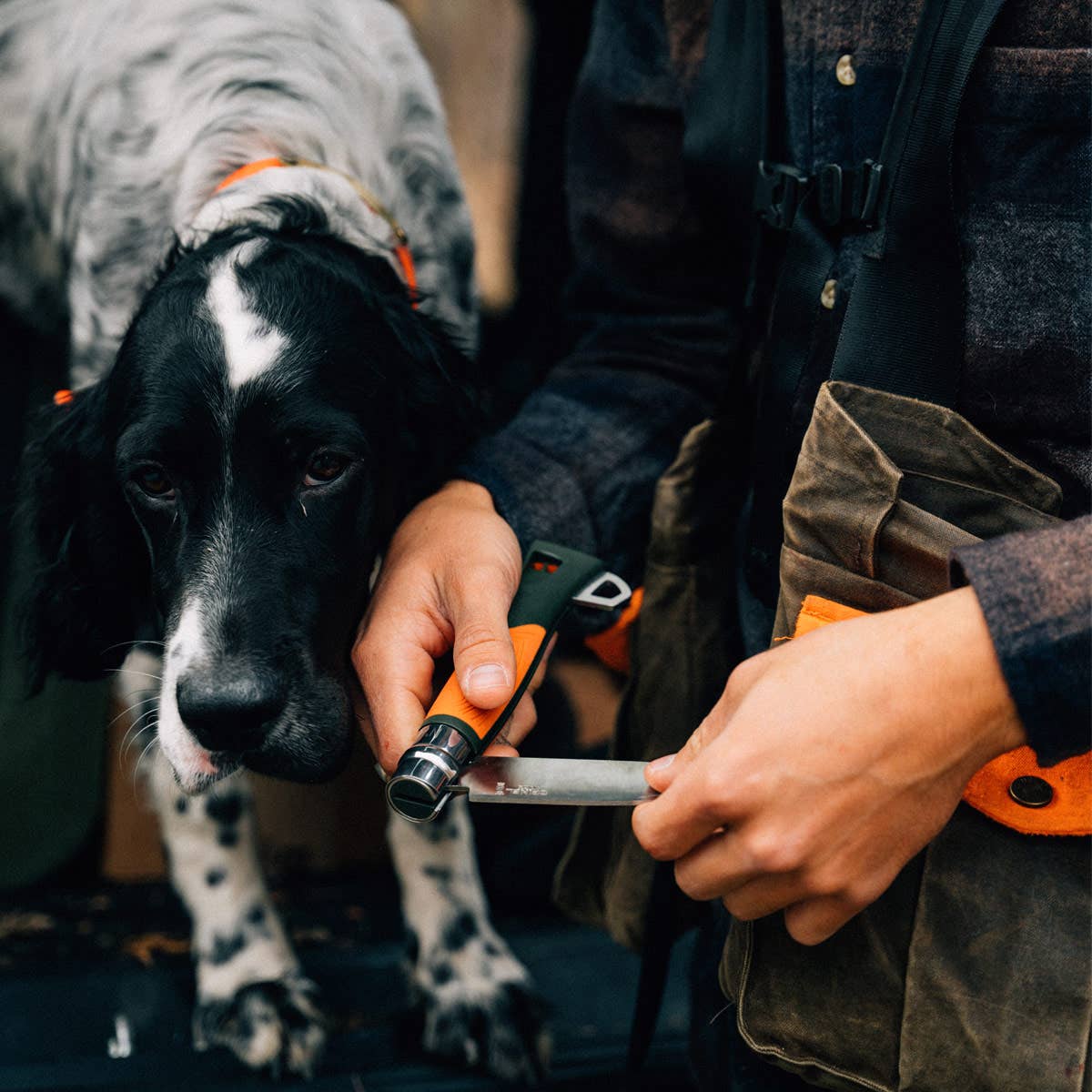 No.12 Explore Folding Knives with Tick Remover Tool