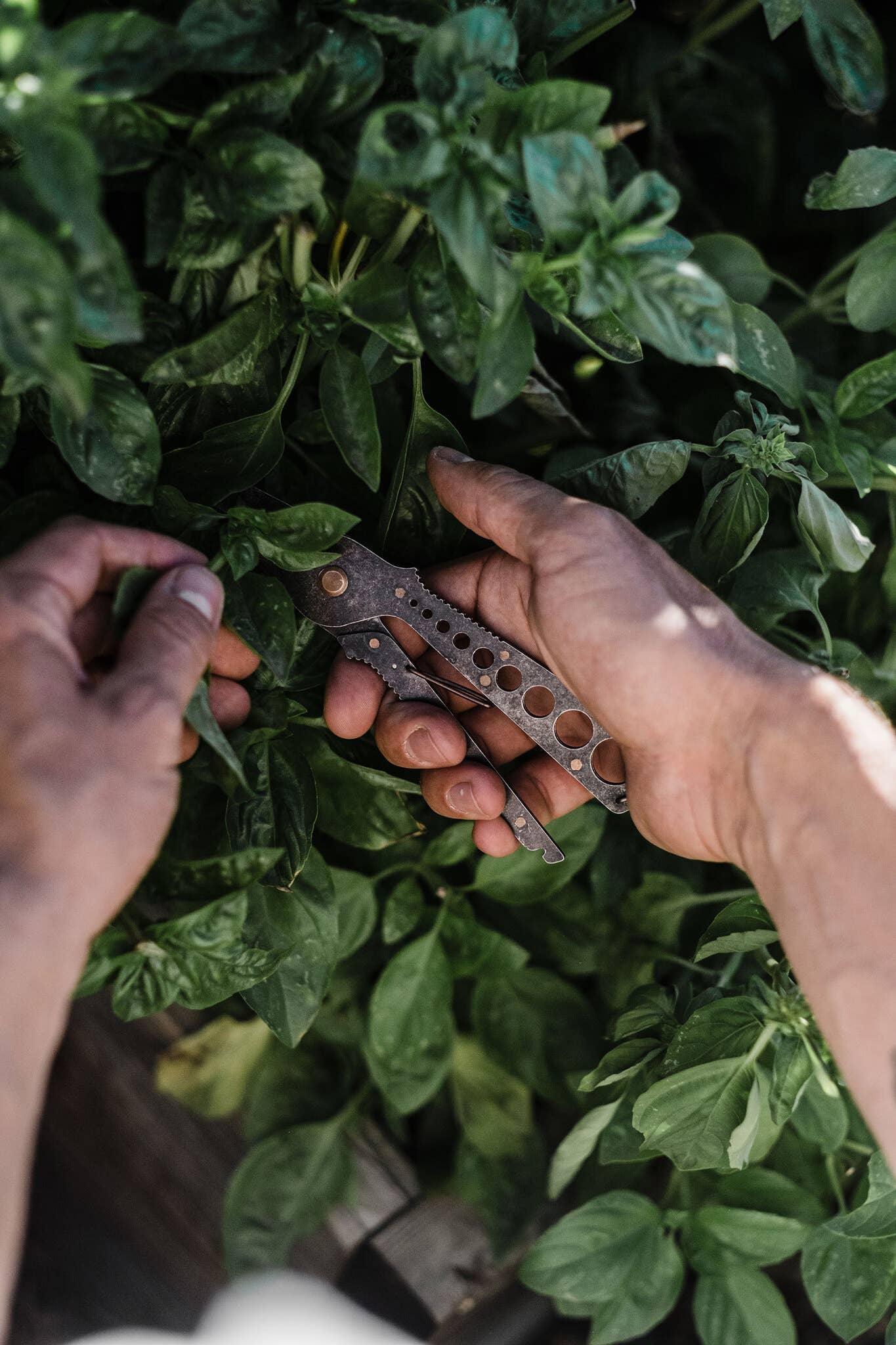 Herb Harvest + Strip Tool