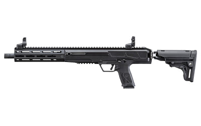 Ruger, LC Carbine 10mm