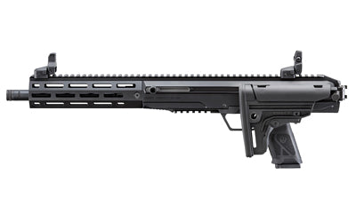 Ruger, LC Carbine 10mm