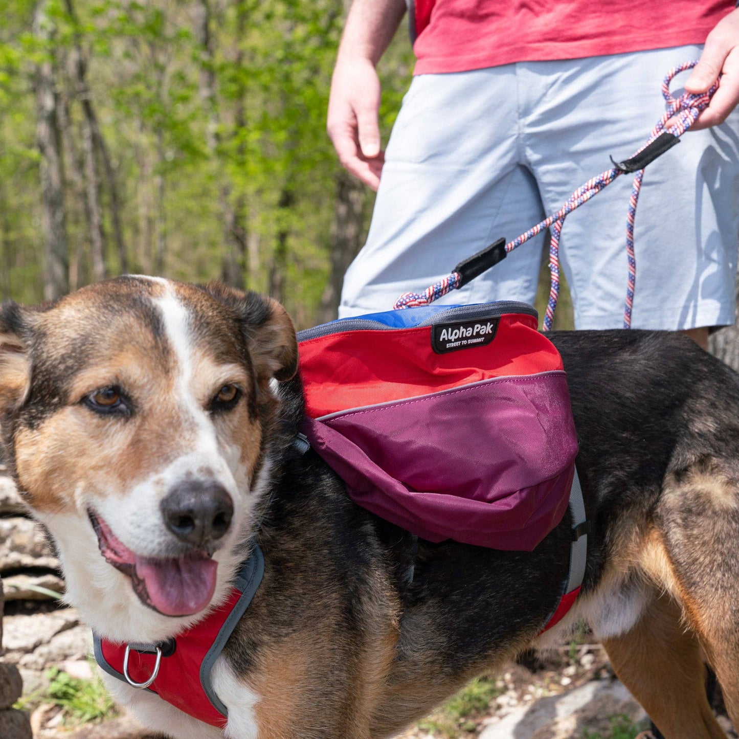 Adventurer 2-piece Dog Pack With EZ Latch™  Harness - SUNSET