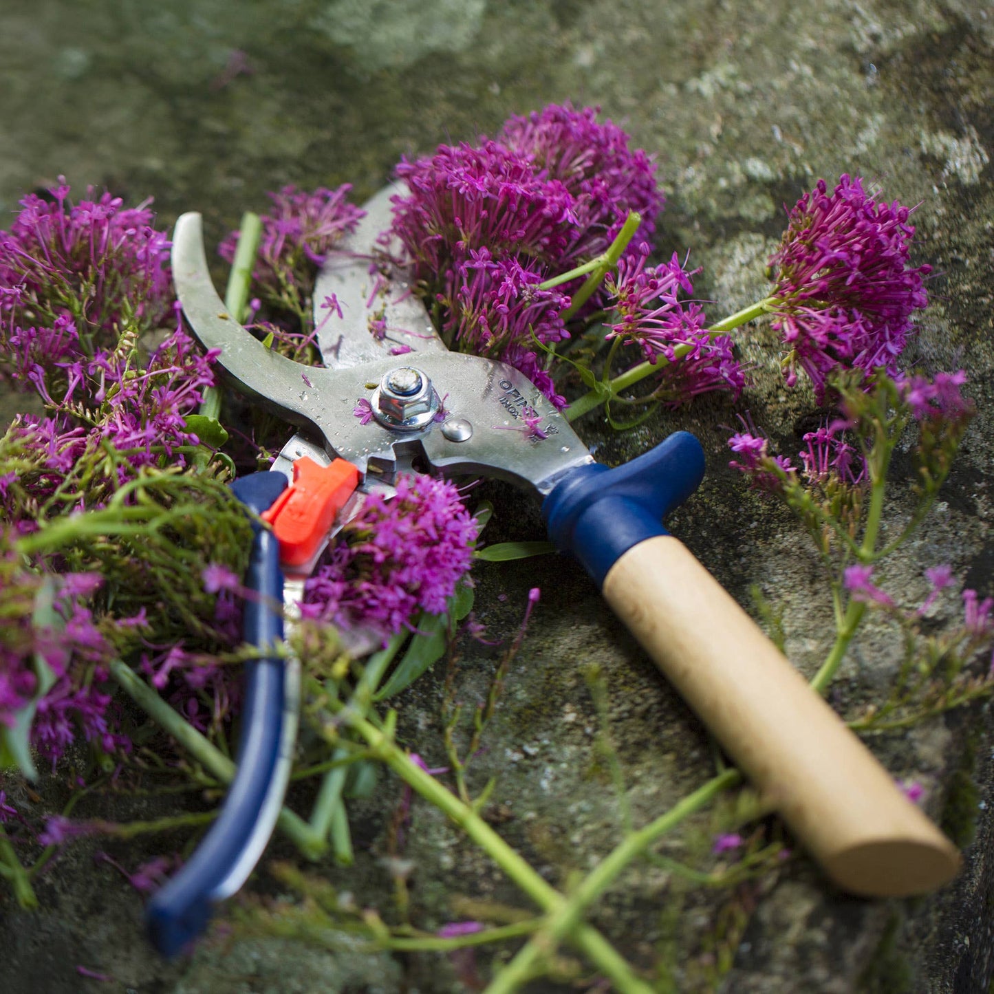 Gardening Shears