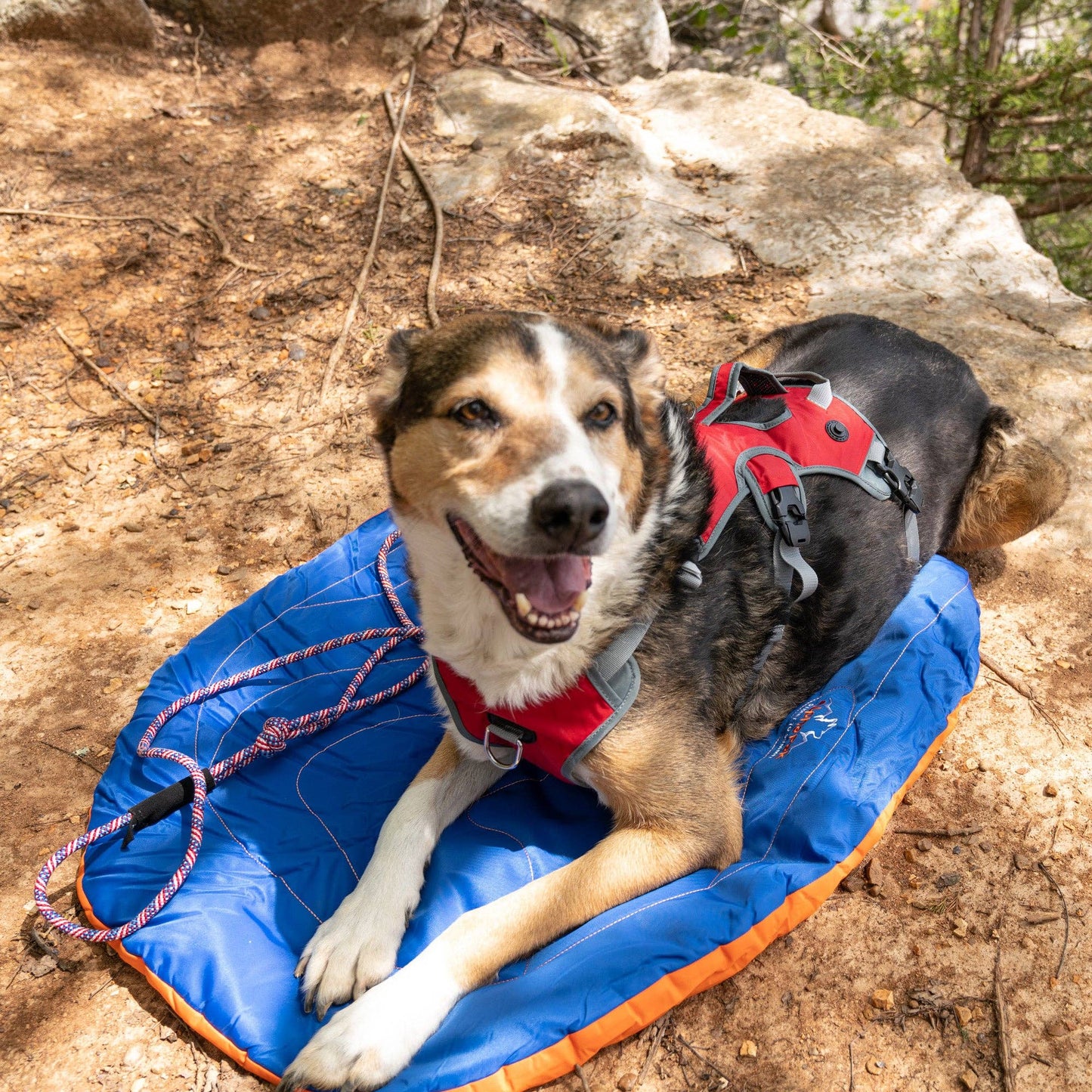 Eclipse Blue Compressible Waterproof Dog Sleeping Mat